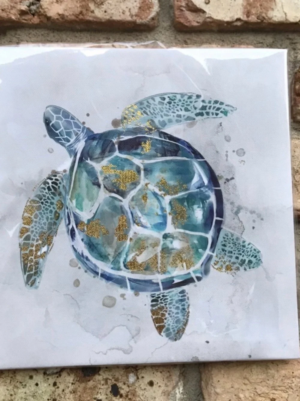 Coastal Turtle and Starfish Wall Art Set - Blue and Gold